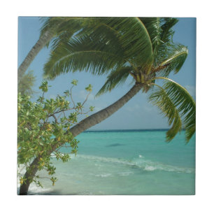 Praia Tropical Areia Sol Água Ondas Surf Arte