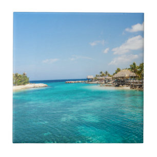 Praia Tropical Azul e Gorda com Huts Thatch