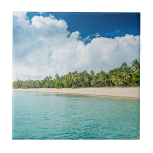 Praia Tropical Cercada por Palmeiras