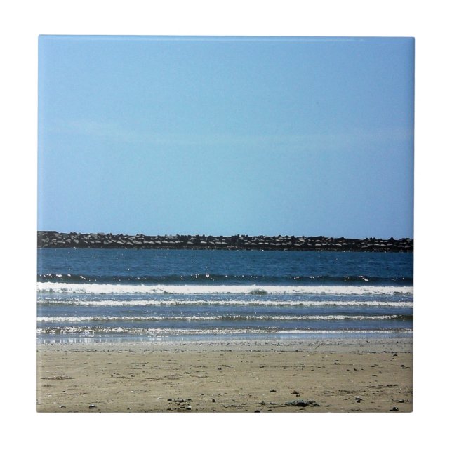 Praia Uruguai de Paloma do La (Frente)