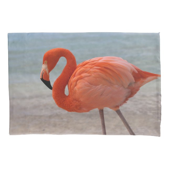 Praias Tropicais | Caribe Flamingo, Aruba (Frente)