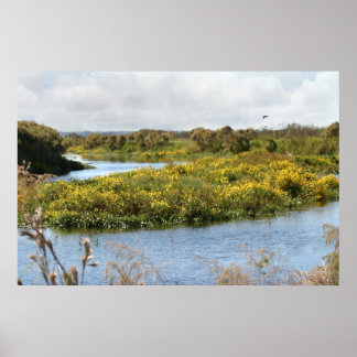 Prairie na Bloom Art Poster -36x24 -outros tamanho