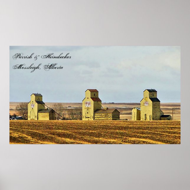 Prairie Sentinels Mossleigh Alberta Poster (Frente)