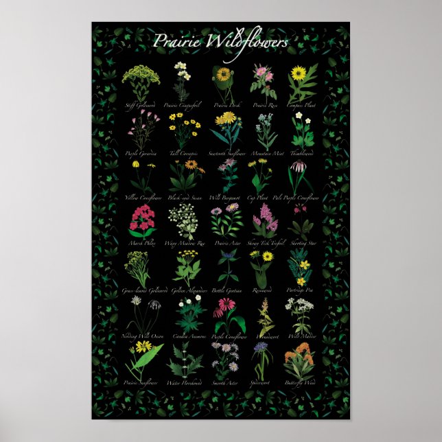 Prairie Wildflower Poster (Frente)