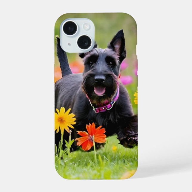 Prances Scottish Terriers em erva e flores (Verso)