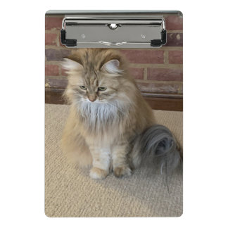 Prancheta