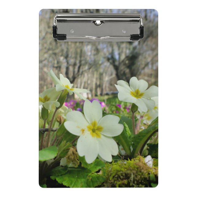Prancheta Clipboard Primrose Mini (Frente)