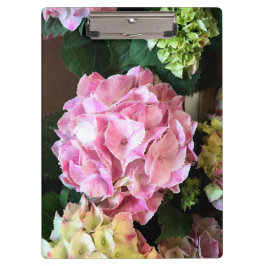 Prancheta cor-de-rosa bonito de Hygrangea