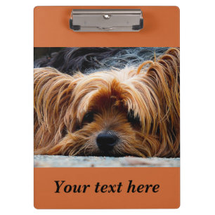 Prancheta de Foto de Cachorro Yorkshire Terrier So
