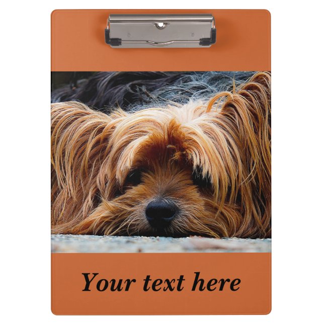 Prancheta de Foto de Cachorro Yorkshire Terrier So (Frente)