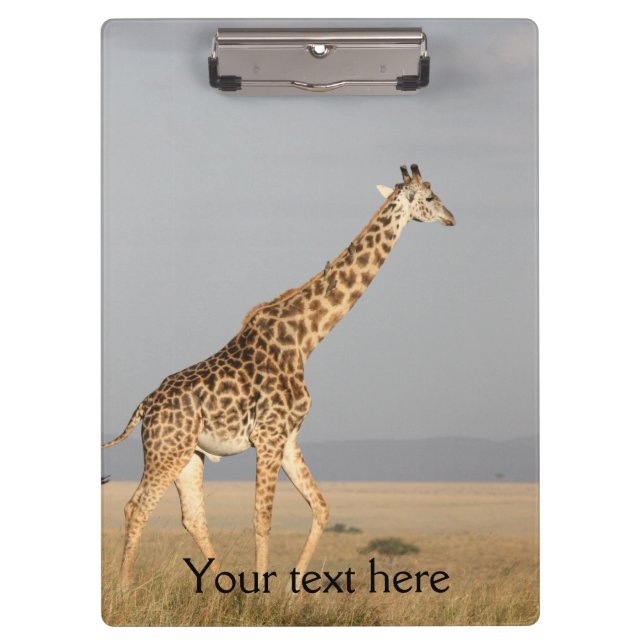 Prancheta de Fotos de Girafa (Frente)