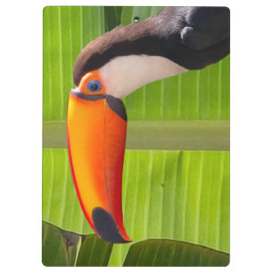 Prancheta design Tucano