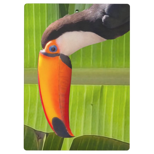 Prancheta design Tucano (Verso)