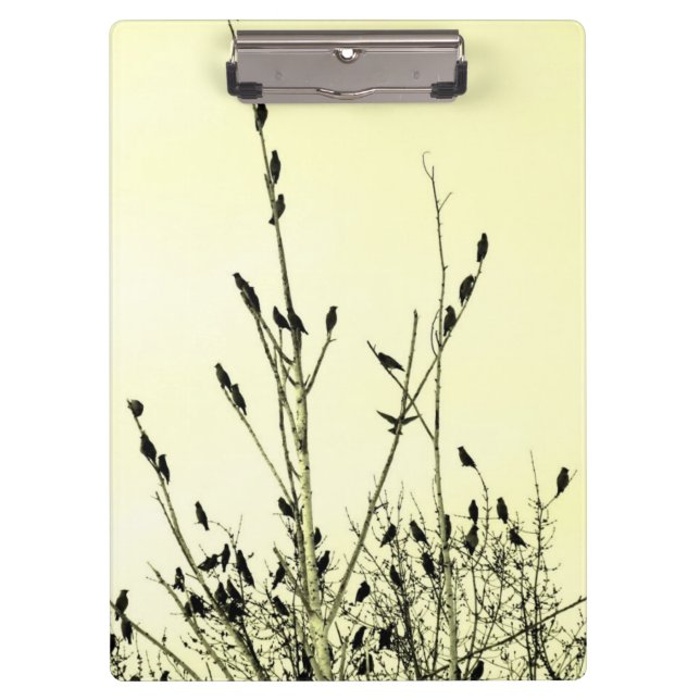 Prancheta dos pássaros (Frente)