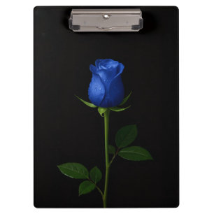 Prancheta Preta 4 Luxe, Rosa Azul Meia-Noite