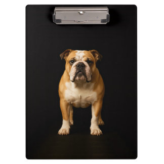 Prancheta Preta 4 Luxo, Bulldog Stamina