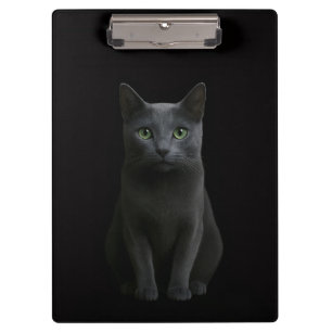 Prancheta Preta 4 Luxo com Gato Azul Russo