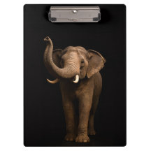Prancheta Preta 4 Luxo, Elefante Poderoso