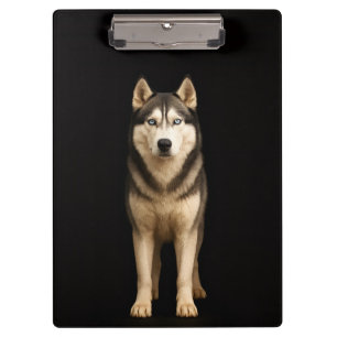 Prancheta Preta 4 Luxo, Husky Elite Gelado