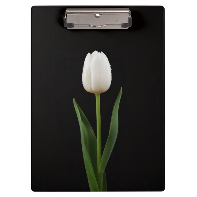 Prancheta Preta 4 Luxo, Tulipa Branca Pérola (Frente)