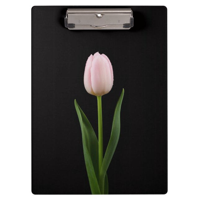 Prancheta Preta 4 Luxo, Tulipa Rosa Bege (Frente)