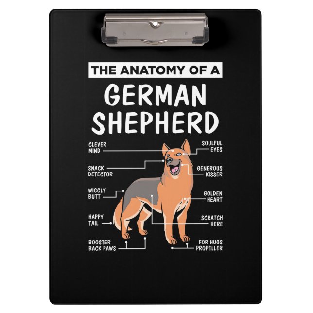 Pranchetas A Anatomia De Um German shepherd (Frente)