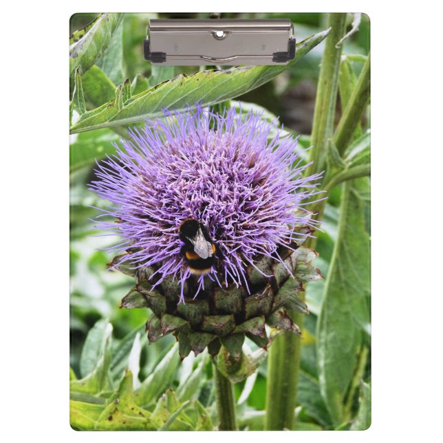 PRANCHETAS ABELHAS (Frente)