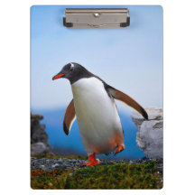 Adicione Seus Próprios presentes personalizados do