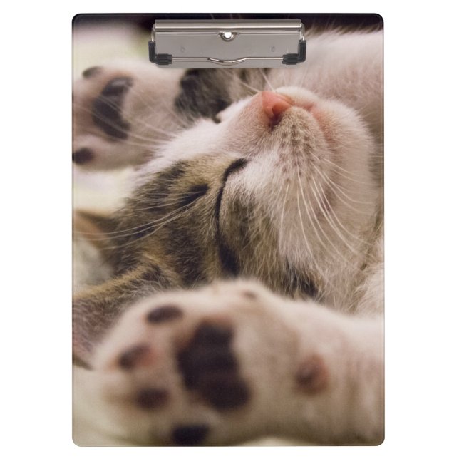 Pranchetas Adorável gatinho dormindo (Frente)