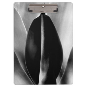 Pranchetas Aloe - Foto de Arte Macrofina a Preto e Branco