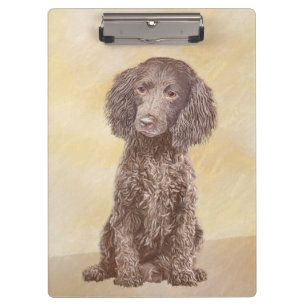 Pranchetas American Water Spaniel Painting - Arte Original de