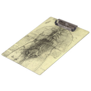 Pranchetas Anatomia Humana de Leonardo da Vinci, Torso Femini