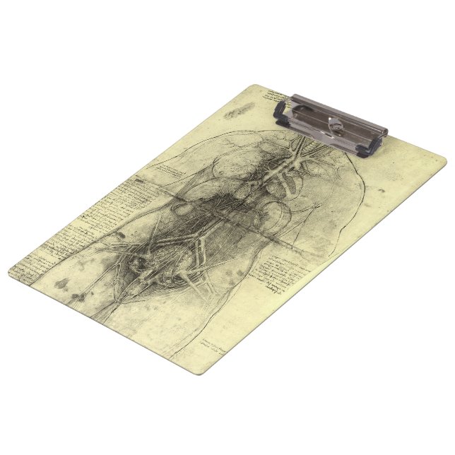 Pranchetas Anatomia Humana de Leonardo da Vinci, Torso Femini (Inclinado)