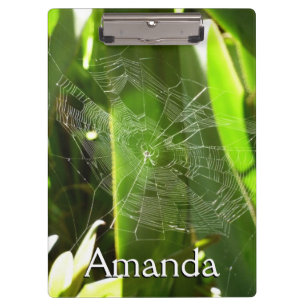 Pranchetas Aranha-do-mar na Natureza das Folhas Tropicais