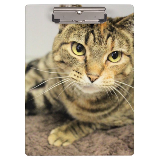 Pranchetas Área de transferência (Frente)