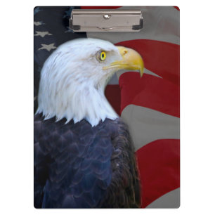 Pranchetas Área de Transferência/Águia Bald Americana com Sin