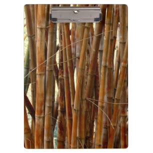 Pranchetas Área de Transferência Bamboo Antiga