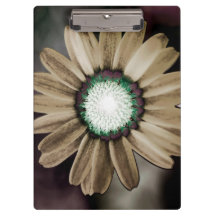 Área de Transferência Beige Rustic Daisy