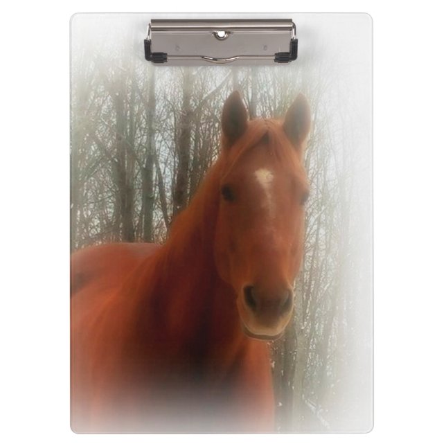 Pranchetas Área de Transferência/Cavalo (Frente)