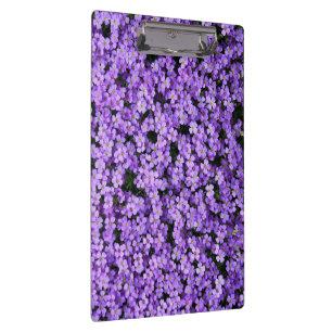 Pranchetas Área de transferência com flores violetas - Primav