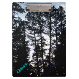 Pranchetas Área de Transferência das Árvores Altas nas Montan