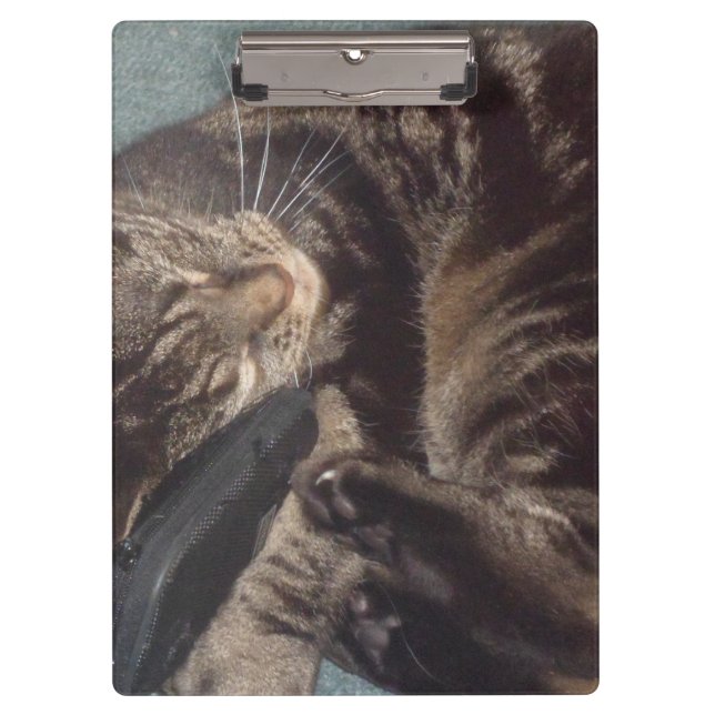 Pranchetas Área de Transferência Dave Reprodutiva (Frente)