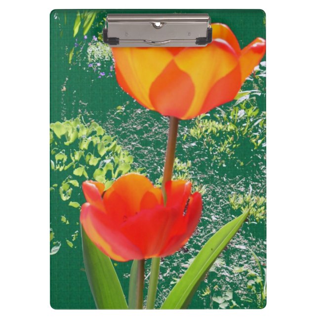 Pranchetas Área de Transferência de Flor Laranja (Frente)