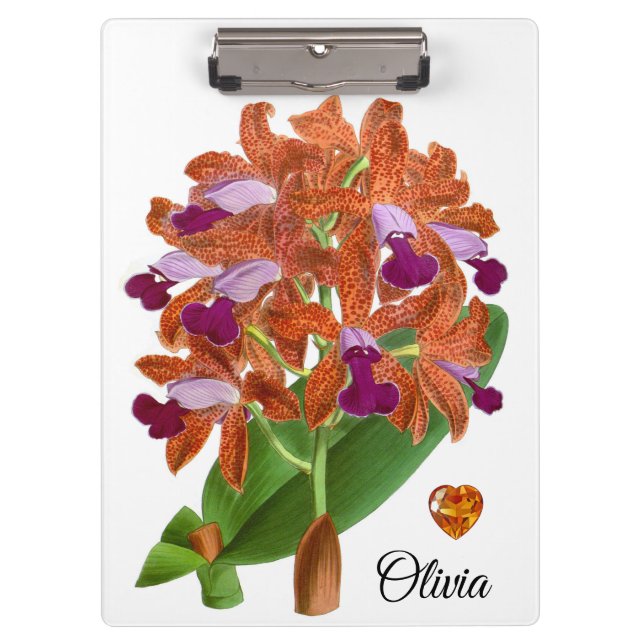 Pranchetas Área de Transferência de Flor Orquídea Laranja Púr (Frente)
