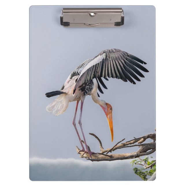 Pranchetas Área de transferência de papel de parede - Design  (Frente)