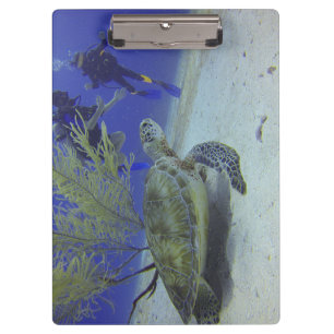 Pranchetas Área de Transferência de Vida Selvagem do Oceano c