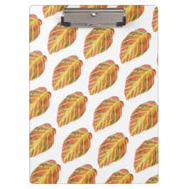 Pranchetas Área de transferência divertida