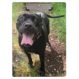 Pranchetas Área de transferência do Cane Corso X