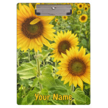 Área de Transferência "Girassol"