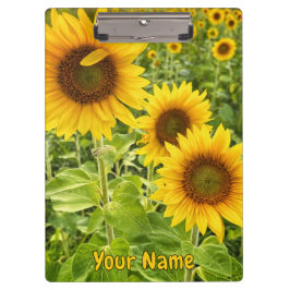 Pranchetas Área de Transferência "Girassol"